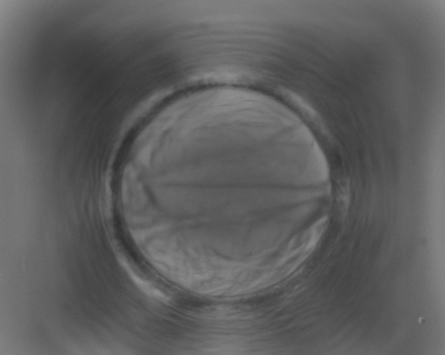 X0000081310678200702082111