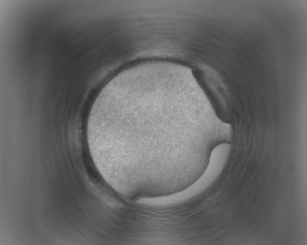 X0000081310680200702082111