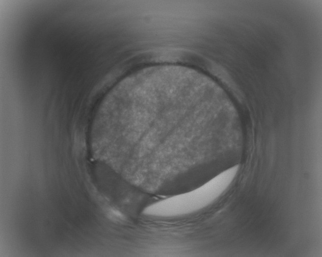 X0000081310681200702082111