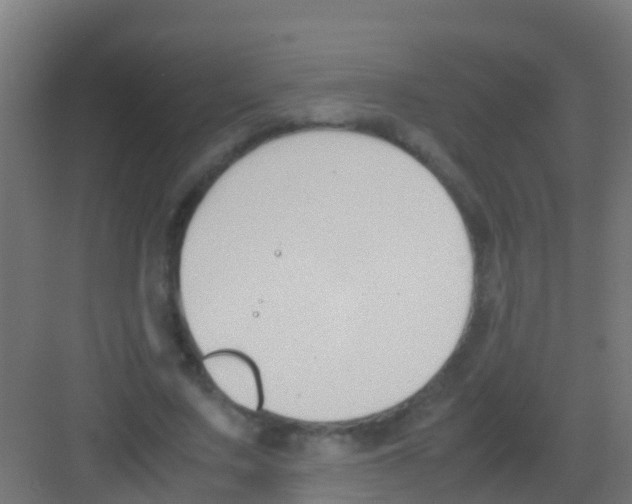 X0000081310683200702082111