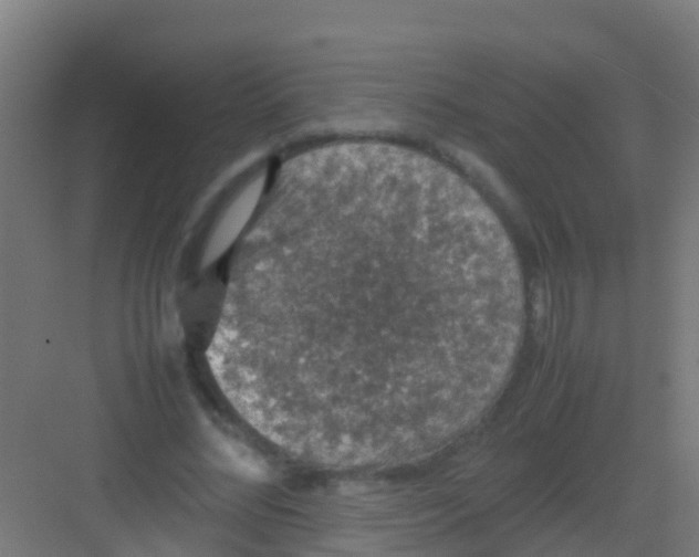 X0000081310684200702082111