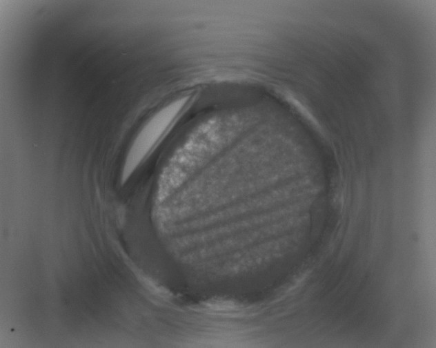 X0000081310685200702082111