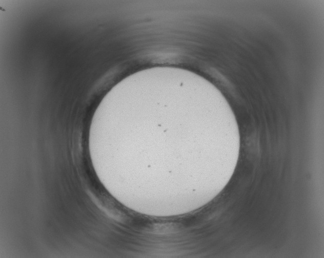 X0000081310686200702082111