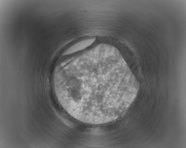 X0000081310688200702082111