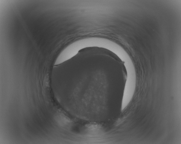 X0000081310689200702082111