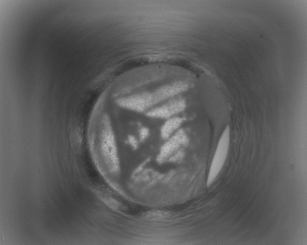 X0000081310691200702082111