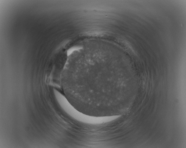 X0000081310692200702082111