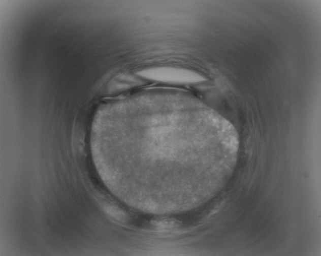 X0000081310693200702082111