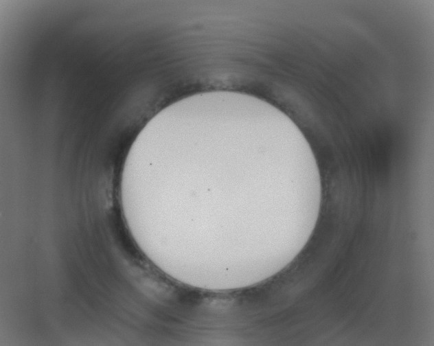 X0000081310694200702082111