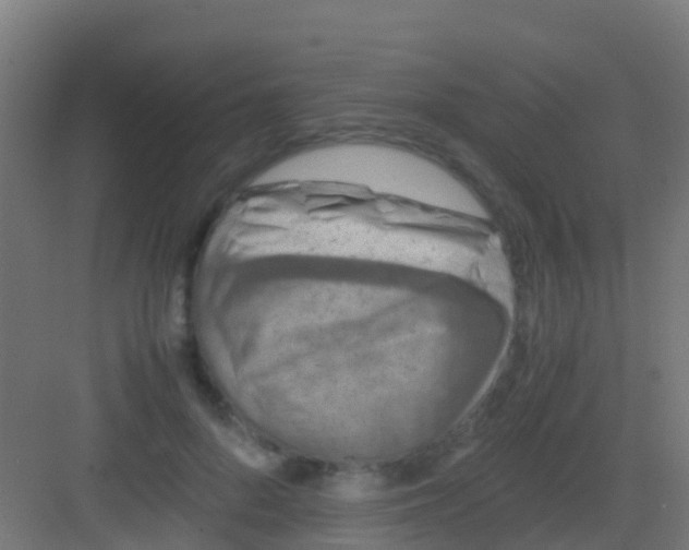 X0000081310696200702082110