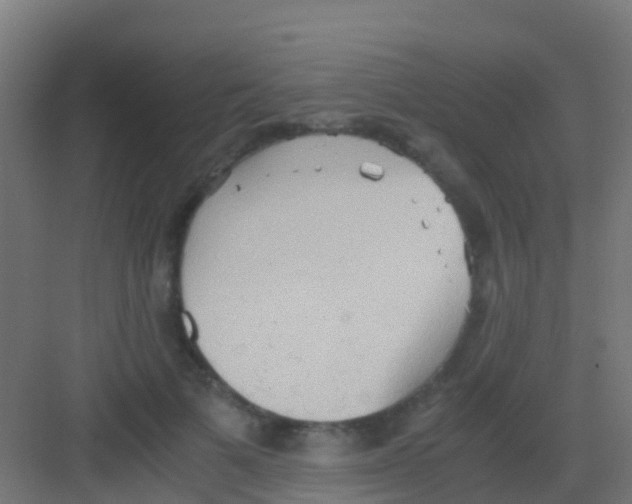 X0000081310697200702082110