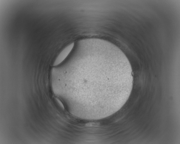 X0000081310700200702082110