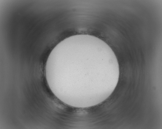 X0000081310702200702082110