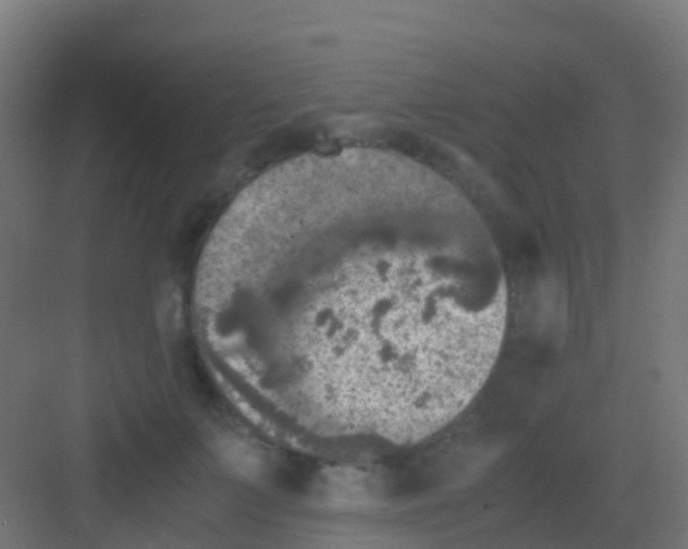 X0000081310703200702082110