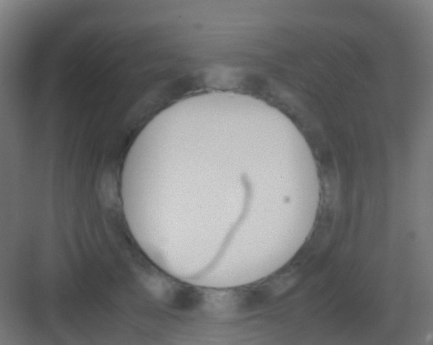 X0000081310705200702082110