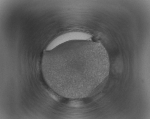 X0000081310708200702082110