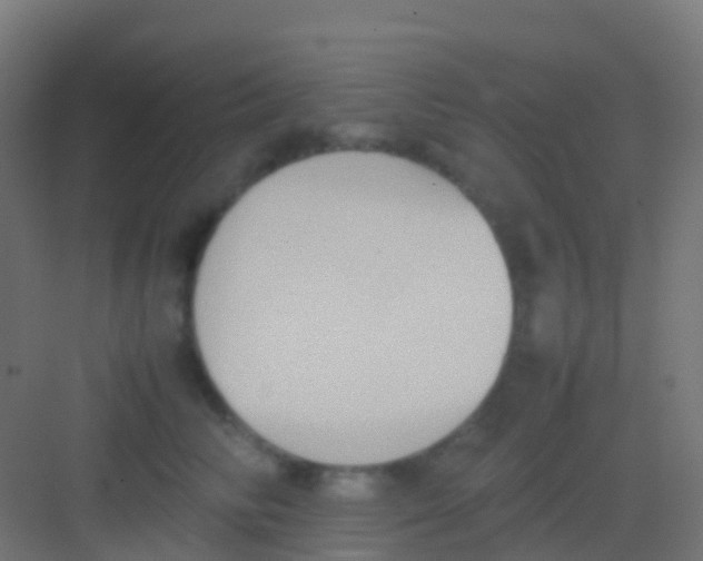 X0000081310710200702082110