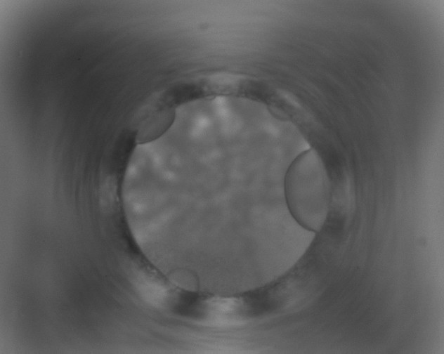 X0000081310711200702082110