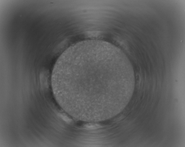 X0000081310712200702082110