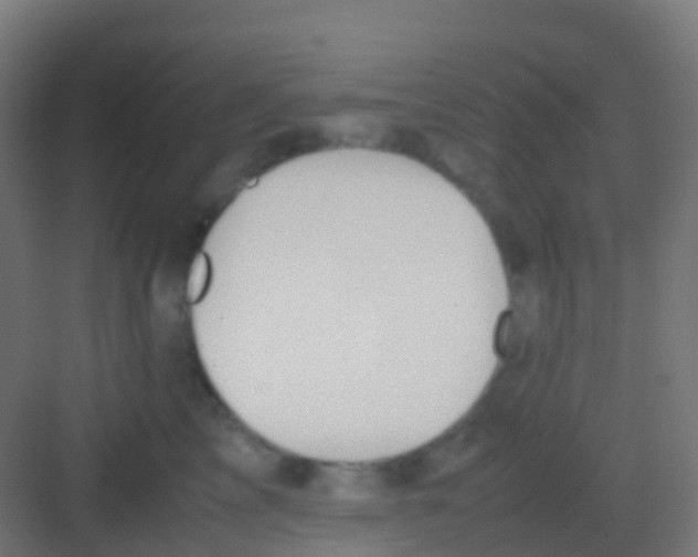 X0000081310713200702082110