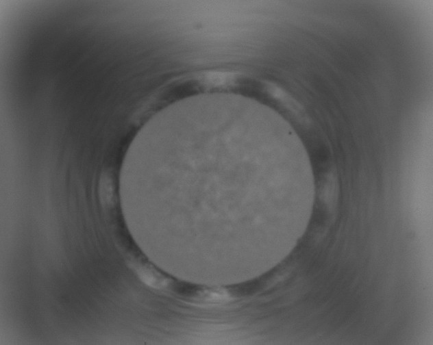 X0000081310715200702082110