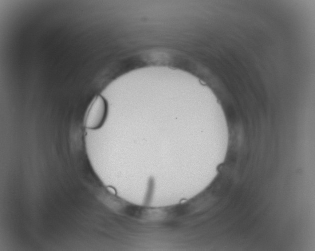 X0000081310717200702082110