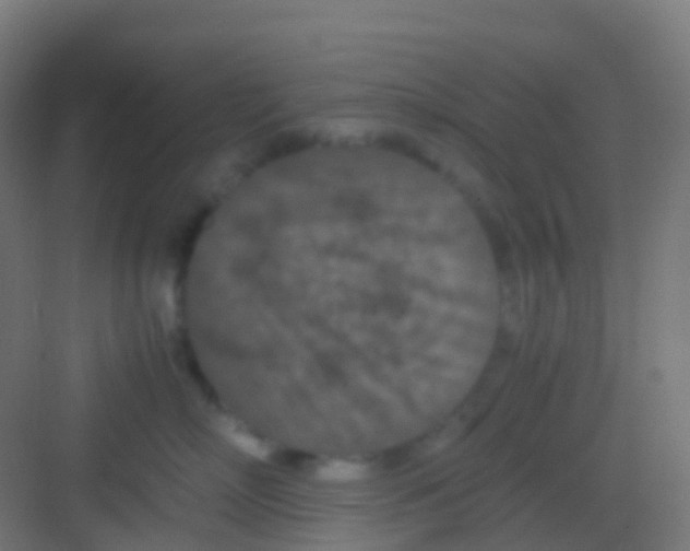 X0000081310718200702082110