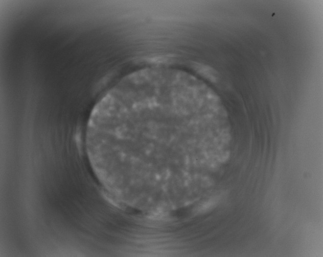 X0000081310720200702082110