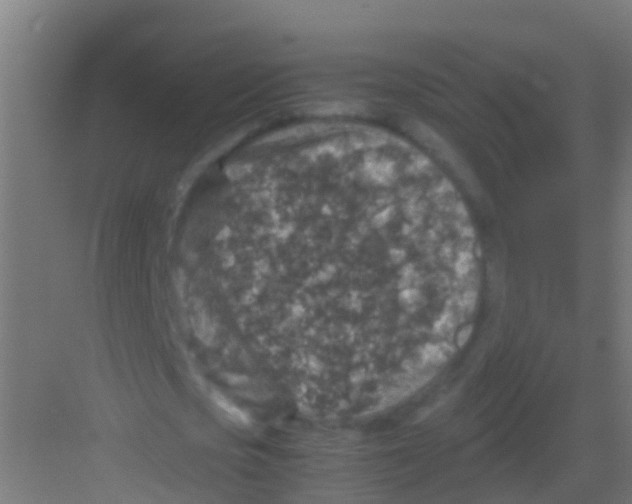 X0000081310721200702082109