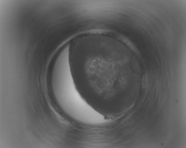 X0000081310722200702082109