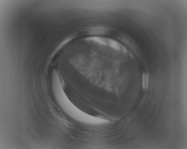 X0000081310723200702082109