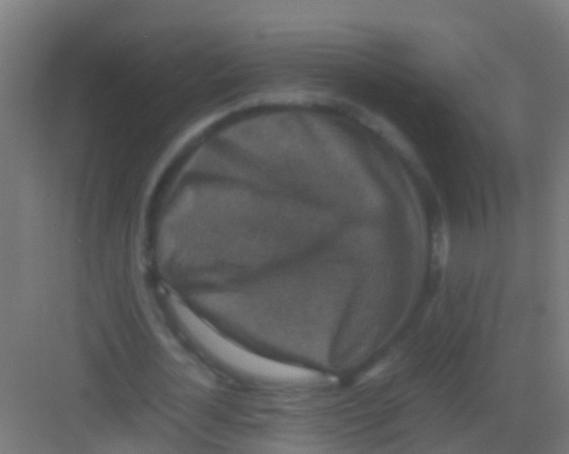 X0000081310724200702082109