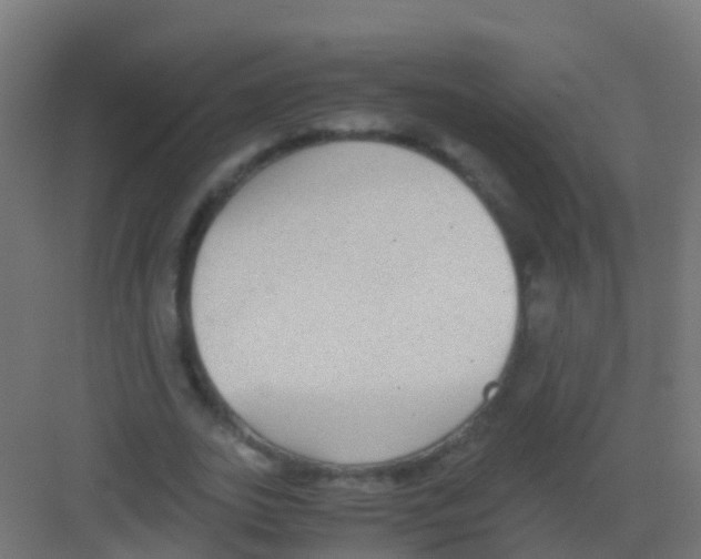 X0000081310727200702082109