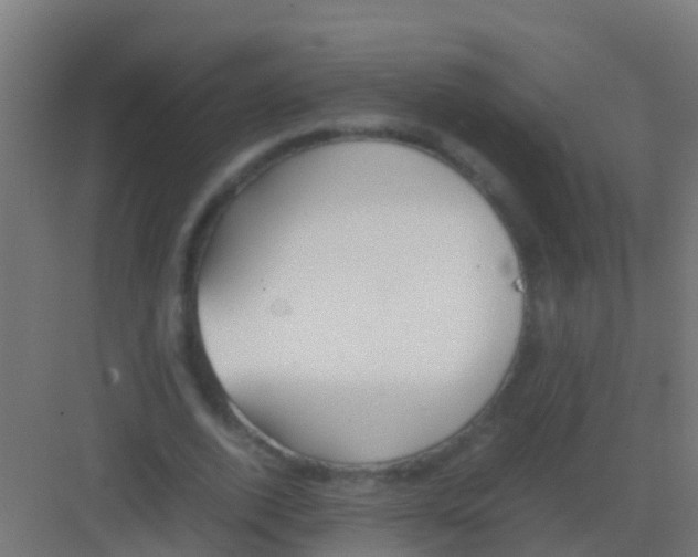 X0000081310728200702082109