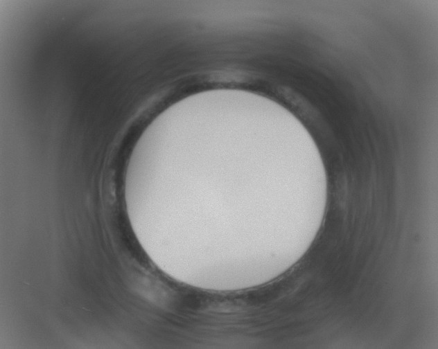 X0000081310731200702082109