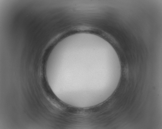 X0000081310732200702082109