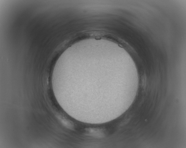 X0000081310733200702082109