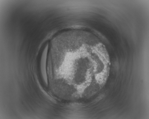 X0000081310734200702082109