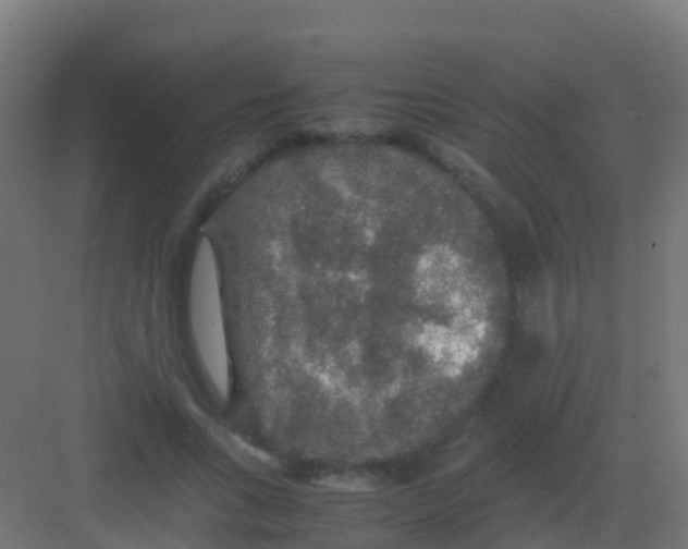 X0000081310735200702082110