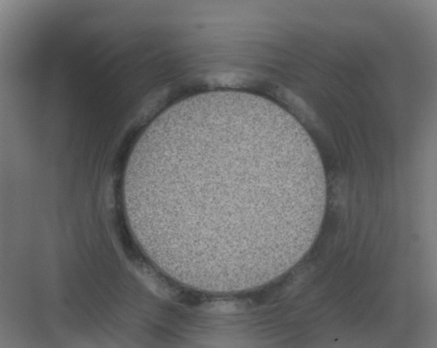 X0000081310738200702082110