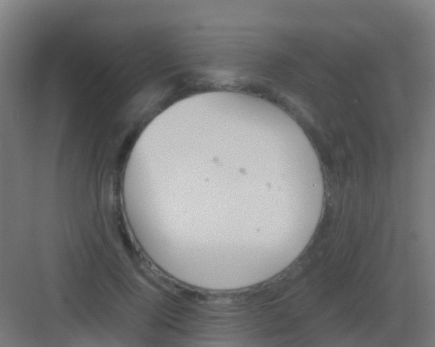 X0000081310740200702082110