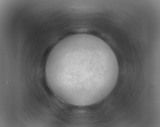 X0000081310743200702082110