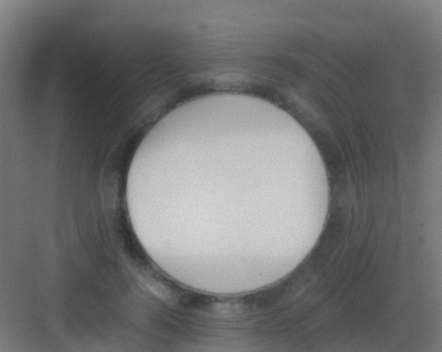 X0000081310744200702082110