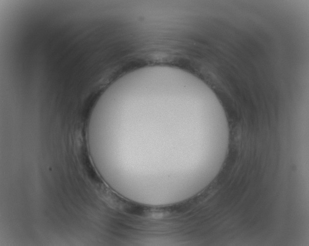 X0000081310746200702082110