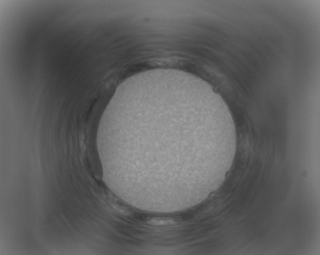 X0000081310749200702082110