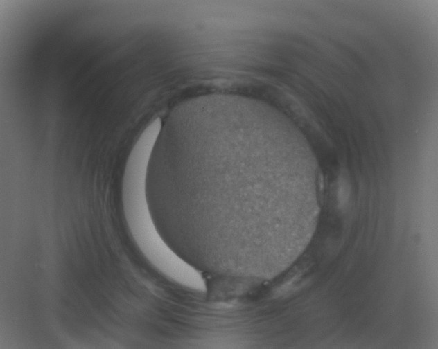 X0000081310750200702082110