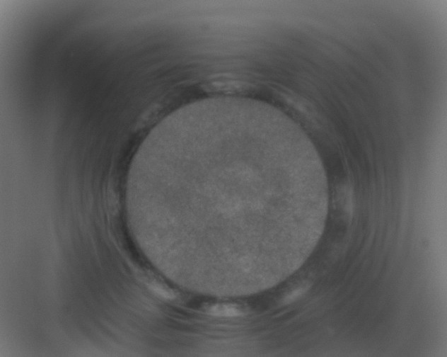 X0000081310751200702082110