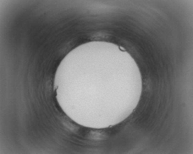 X0000081310753200702082110