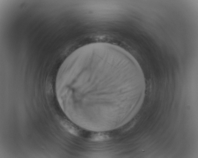 X0000081310754200702082110