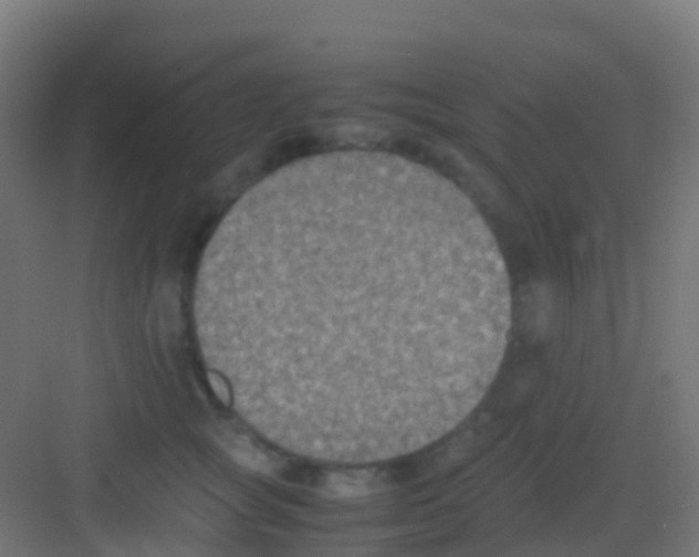 X0000081310757200702082110